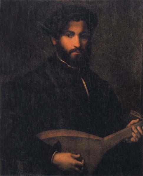 CAMPI, Giulio Portrait of a Gentleman with Mandolin oil painting picture
